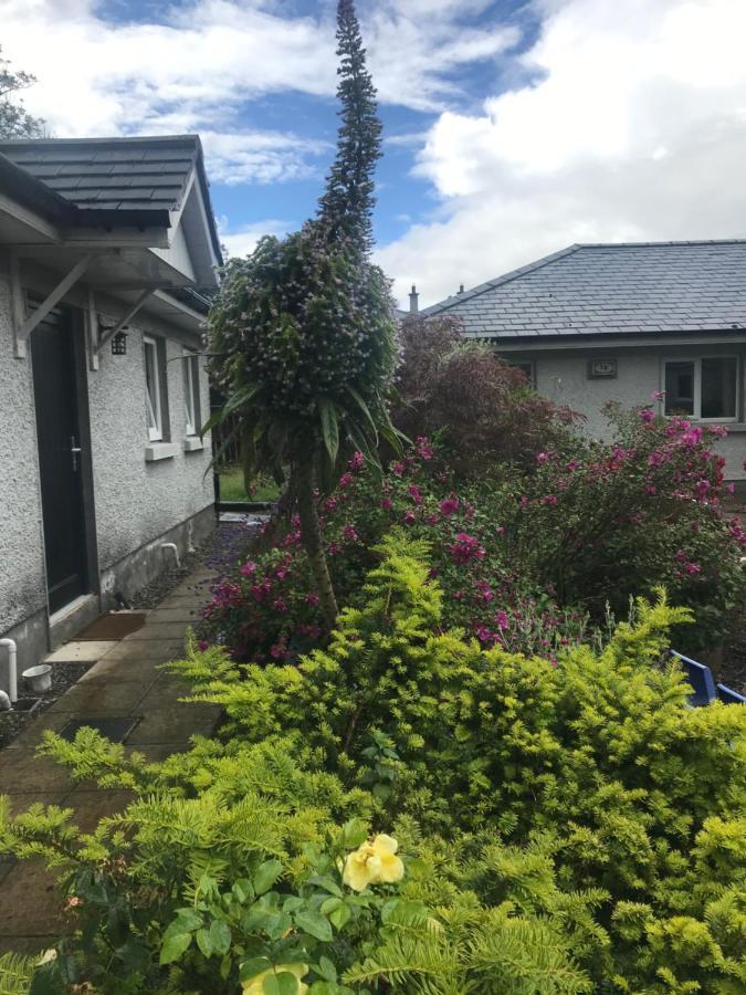 A Selection Of Self Catering Holiday Homes At Kilcloon Cottages Maynooth Buitenkant foto
