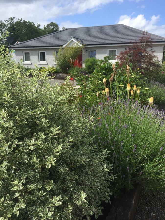 A Selection Of Self Catering Holiday Homes At Kilcloon Cottages Maynooth Buitenkant foto